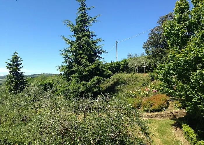 San Bartolo ペザロ