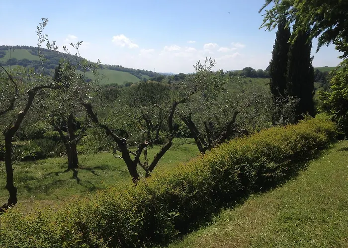 San Bartolo Bed & Breakfast *